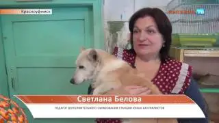 Юные натуралисты 14 11 16
