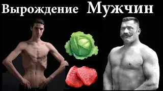 Для чего нам запрещают есть Мясо, Рыбу и Яйца? Путь к вырождению мужской популяции