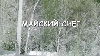 Майский снег