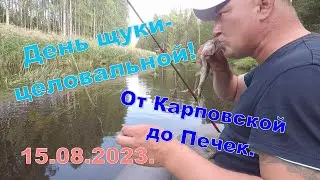 Spinning fishing. Kissing Pike Day. 08/15/2023. Along Nelenga from Karpovskaya to Pechek.