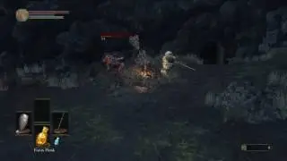 Dark Souls 3 - Siegward of Catarina vs Holy Knight Hodrick (Redo)