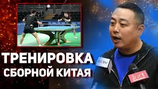 Настольный теннис тренировка Китай. Настольный теннис Китай. Fan Zhendong. Настольный теннис 2020.