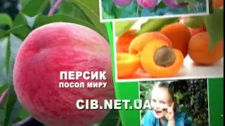 Сельский Вестник Украина - персик посол мира