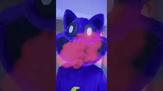 The True Story of CatNap in Real Life!  