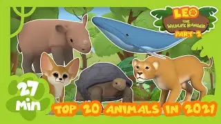 Top 20 Most Popular Animals from Season Two in 2021! Part 2! | Leo the Wildlife Ranger