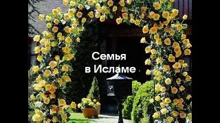 2. Семья в Исламе. Мужчина - попечитель своих женщин.