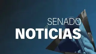 Senado Notícias ao vivo: confira as últimas notícias do dia - 4/9/24