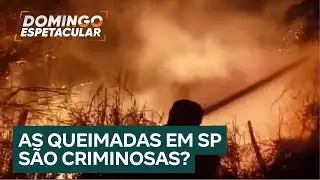 Queimadas em SP: polícia investiga possibilidade de focos de incêndio criminosos