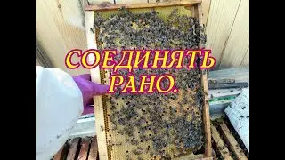 СОЕДИНЯТЬ СЕМЬИ ЕЩЕ РАНО.