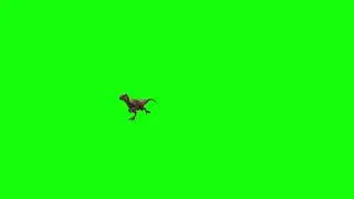Animated Dinosaur Raptor Walking Pack Green Screen