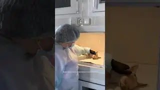 МАРИКУ УДАЛИЛИ 15 ЗУБОВ!!!😢😳 