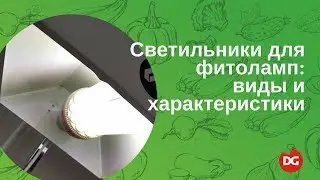 №13 Светильники: виды, характеристики и цены