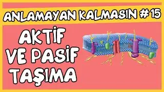 Anlamayan Kalmasın #15 Aktif ve Pasif Taşıma