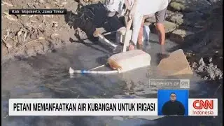 Petani Memanfaatkan Air Kubangan Untuk Irigasi