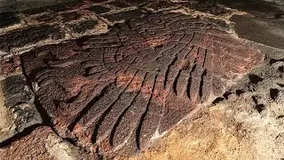 Esta águia de ouro foi descoberta em um templo perdido!