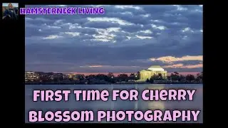 Start at Blue Hour for the Best Cherry Blossom Photography in Washington DC