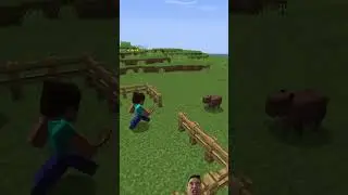 💀 Capybara in minecraft without mods🧸/ArchieMC #shorts reaction