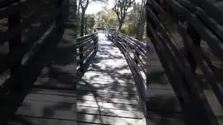 Where In Perth Is This Boardwalk? #1 
