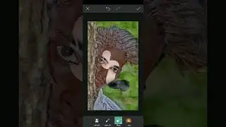 Top 10 Easy Ways to Edit Your Photos With PicMonkey