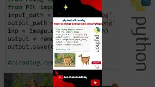 Remove Image Background Using Python 