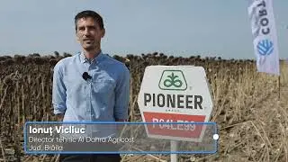 Ionuț Vicliuc - Director tehnic Al Dahra Agricost - Recoltare P64LE99