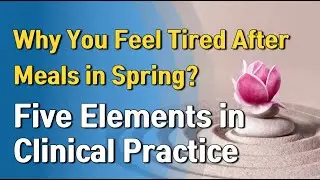 Why You Feel Tired After Meals in Spring: Five Elements in Clinical Practice