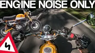HOW FAST is the new HONDA MONKEY? [RAW Onboard]