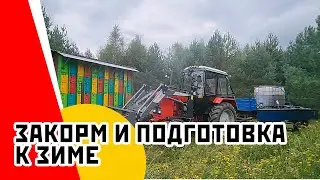 Готовим пасеку к зиме: кормить ли сахаром?