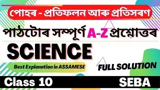 Class 10 Science CHAPTER 10 Question Answer in Assamese| SEBA | Let's Approach