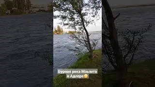 Бурная река Мзымта в Адлере 