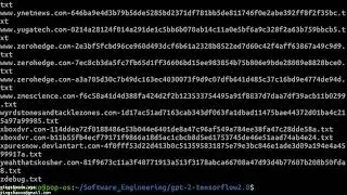 GPT-2 training and text generation, implemented in Tensorflow 2.0