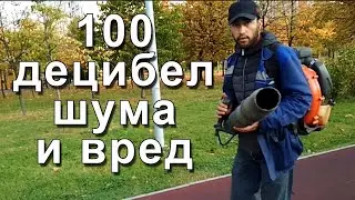 100 децибел шума и вред