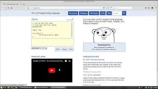 Go(golang) Tutorials - Installation and setup on Linux