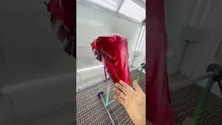 Бак в четыре цвета.
