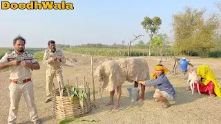 Doodh Wala Very Special New Funny Comedy Video || By Bindas Fun Nonstop