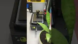 Photon Mono X2 Liquid Resin Printer from 