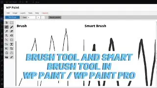 Brush Tool and Smart Brush Tool in WP Paint / WP Paint Pro