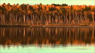 Пять озер, Омская обасть