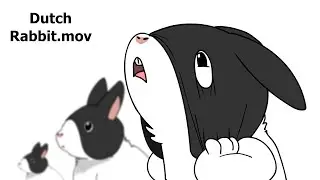 DUTCH RABBIT 🐇