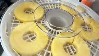 Cosori Food Dehydrator #amazon #earnscommissions #amazonfinds #fooddehydrator