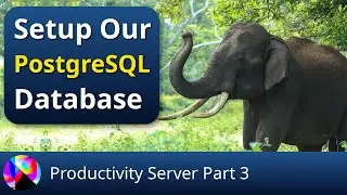 Setup Our PostgreSQL Database - Productivity Server 3