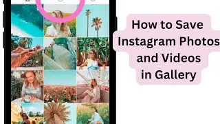 How to Save Instagram Photos and Videos in Gallery