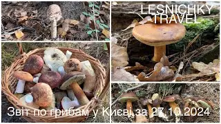 Звіт по грибам у Києві за 27.10.2024