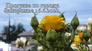 Прогулка по городу после грозы. Утро. Запорожье 16.6.2020.