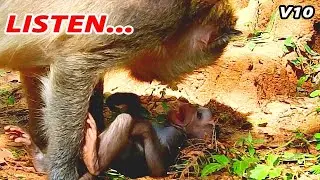 SHOCKED HEART ... BABY JINX SHAKING SCARE MOMMY HARD REJECT NO FEED MILK / JINX CRY MUCH HUNGRY ....