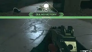 Call of Duty: Warzone  -  1080p with the RX 580 8GB & AMD FX-8300
