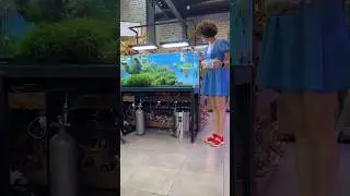Какая ваша любимая рыбка❓❤️ 