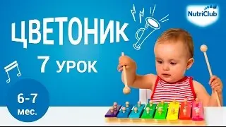 Играем с цветом и звуком. Развитие ребенка 6-7 месяцев по методике 