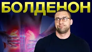 Болденон (Гематокрит, Аппетит, Почки, Ингибитор ароматазы)