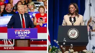 Trump And Harris Exchange Barbs After She Becomes Expected Nominee | WSJ News